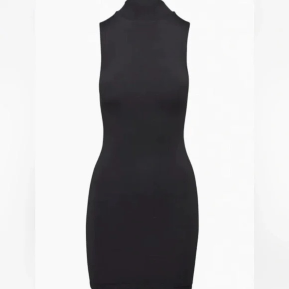 NWT Aritzia Babaton Contour Mockneck Mini Dress - Picture 1 of 5